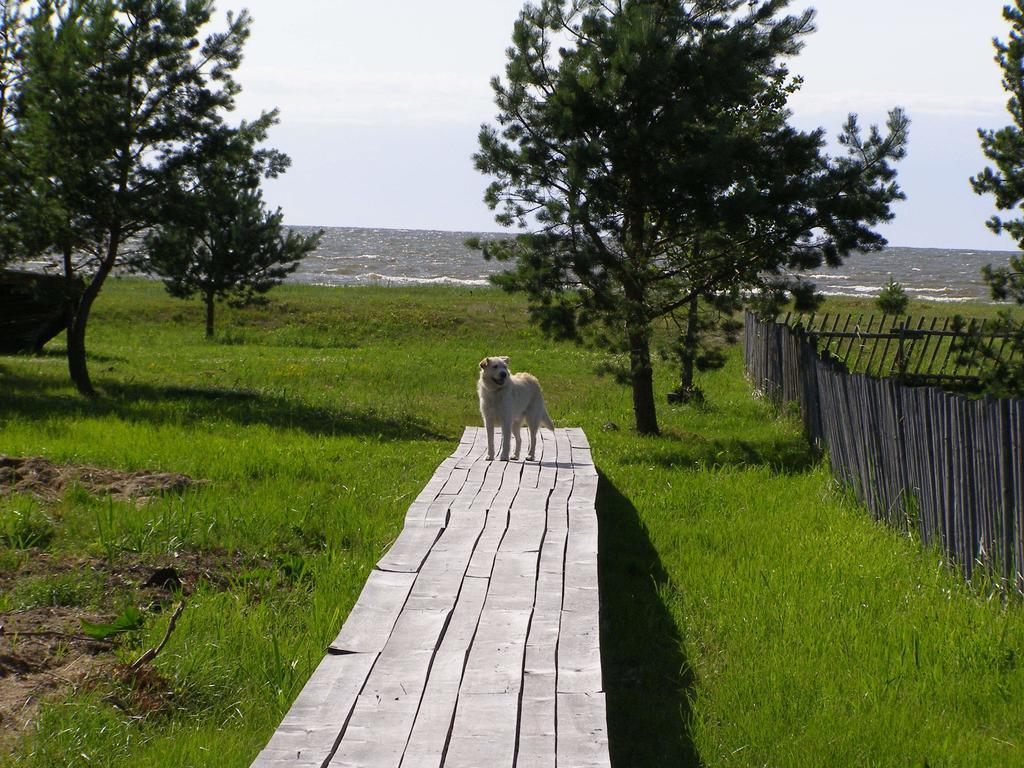 Puhkemaja Casa vacanze *