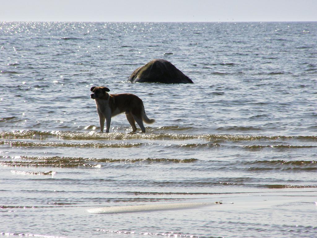 Puhkemaja *