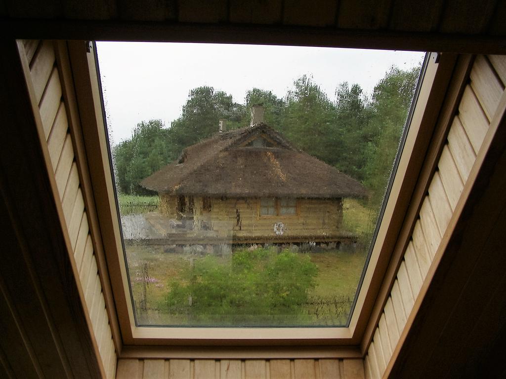 Puhkemaja Treimani